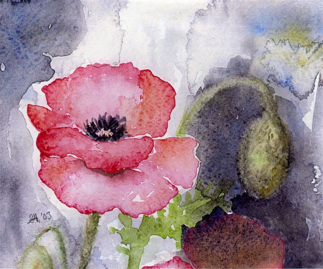 2003 Red Poppy Watercolour